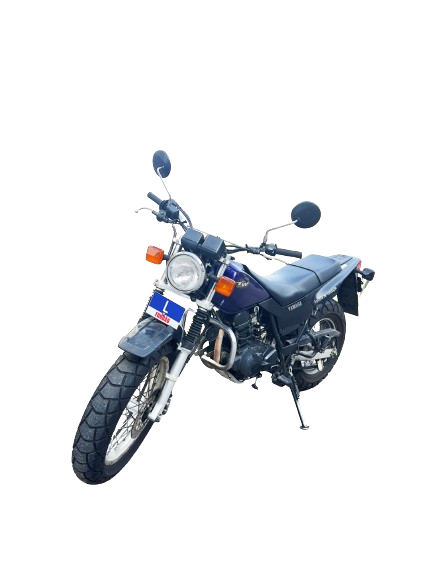 A1